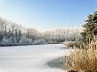 Hoarfrost Covered Trees Along Frozen Lake In Winter, Belgium by Philippe Clement Limited Edition Print