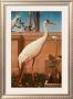 Indian Crane, Cockatoo, Bullfinch And Thrush by Henry Stacey Marks Limited Edition Print