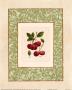 Cherries by Linda Casey Limited Edition Print