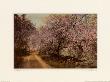 Blossom Bordered by Wallace Nutting Limited Edition Pricing Art Print