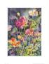 Perfect Poppy by Sally Bly Limited Edition Print