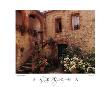 Hydrangea Courtyard San Felice by Dennis Barloga Limited Edition Print
