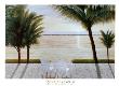 Palm Bay Dreaming by Diane Romanello Limited Edition Print