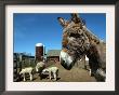 Bonnie The Guardian Donkey Keeps An Eye On Her Flock Of Sheep by Victoria Arocho Limited Edition Print