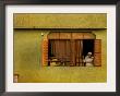 A Family Looks At The Jama Masjid Mosque After Twin Blasts, In New Delhi, India, April 14, 2006 by Manish Swarup Limited Edition Pricing Art Print