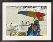 A Somaliland Woman Waits For Customers, In Hargeisa, Somalia September 27, 2006 by Sayyid Azim Limited Edition Pricing Art Print