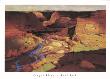 Canyon River by Paul Davis Limited Edition Print
