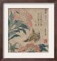 Peony And Canary, Circa 1825 by Katsushika Hokusai Limited Edition Print