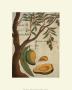 Mango Tree by Michael Boym Limited Edition Print