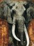 African Elephant by Fabienne Arietti Limited Edition Print