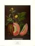 Cantaloupe Melon by George Brookshaw Limited Edition Print