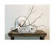 Wire Basket Still Life by Cecile Baird Limited Edition Pricing Art Print