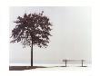 Bench: Oyster Bay, New York by Maya Nagel Limited Edition Print