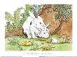 Bunny Was A Happy Rabbit by Anita Jeram Limited Edition Print