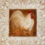 Country Rooster I by Su Yue Lee Limited Edition Print