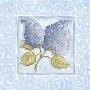 Blue Swirl Lilacs by Kate Mcrostie Limited Edition Pricing Art Print