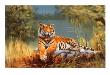 Watchful Eye by Leonard Pearman Limited Edition Print