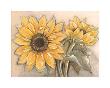 Sunflower by Ina Van De Bos Limited Edition Pricing Art Print