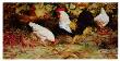 November Chickens by Robert A. Johnson Limited Edition Pricing Art Print