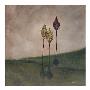 Evening Reach by Tamara Wright Limited Edition Pricing Art Print