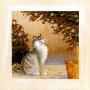 Cat's Life I by Karen Dupre Limited Edition Print