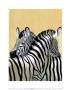 Zebras by Noelle Triaureau Limited Edition Pricing Art Print