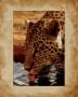 Leopard by Keith Levit Limited Edition Pricing Art Print