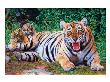 Tiger And Two Cubs by Rodolfo Escalera Limited Edition Print