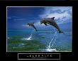 Celebrate: Dolphins by Craig Tuttle Limited Edition Pricing Art Print