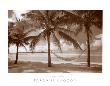 Paradise Lagoon by David L. Kluver Limited Edition Print