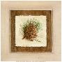 Pomme De Pin I by Vincent Jeannerot Limited Edition Print