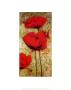 Poppies Iii by Dana Del Castillo Limited Edition Pricing Art Print