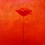 Poppy Elegance I by Erika Heinemann Limited Edition Pricing Art Print