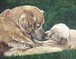 Kodi & Bayli by Consuelo Gamboa Limited Edition Print