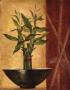 Lucky Bamboo Ii by Eugene Tava Limited Edition Print