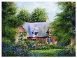 Maiden's Cottage by Dwayne Warwick Limited Edition Pricing Art Print