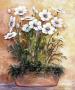 White Anemones In Bowl by Rian Withaar Limited Edition Print