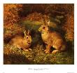 Rabbits In Autumn by Samuel James Carter Limited Edition Pricing Art Print