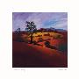 Evening Glory by Spencer Lee Limited Edition Print