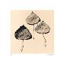 Trio by Graeme Harris Limited Edition Print