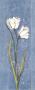 Soft Blue Tulip by Katherine & Elizabeth Pope Limited Edition Print