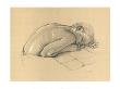 Study For Karen At Rest by Francine Van Hove Limited Edition Print
