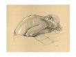 Study For Karen At Rest by Francine Van Hove Limited Edition Print