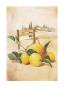 Sudden Life I by Franz Heigl Limited Edition Print