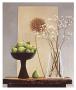 Stylish Blossom by James Demmick Limited Edition Pricing Art Print