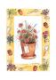 Allium by Alie Kruse-Kolk Limited Edition Pricing Art Print