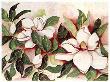 Grandiflora I by Pat Monroe Limited Edition Print