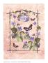 Violet Butterfly by Consuelo Gamboa Limited Edition Print