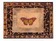 Winged Ornament Ii by Alan Hayes Limited Edition Print