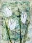Dream Lilies I by Amore Limited Edition Print